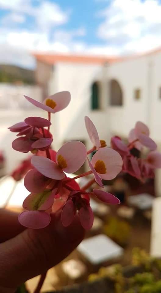 Hotel Casablanca 사마이파타 외부 사진