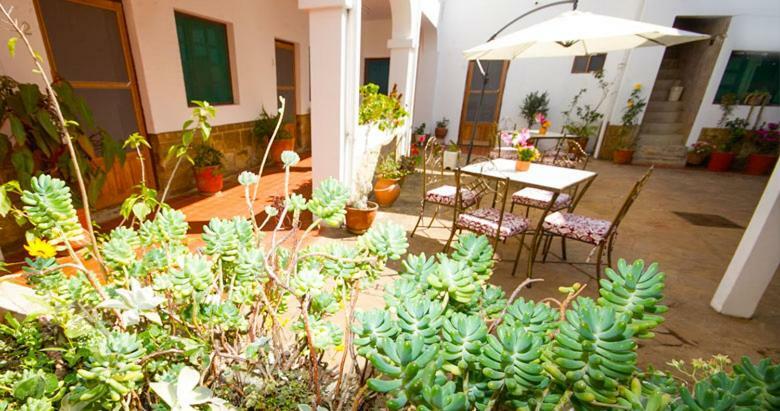 Hotel Casablanca 사마이파타 외부 사진